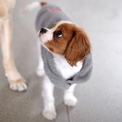 Louie Living Vest (Grey) - Medium