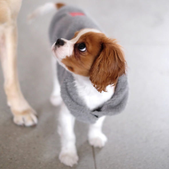 Louie Living Vest (Grey) - Medium